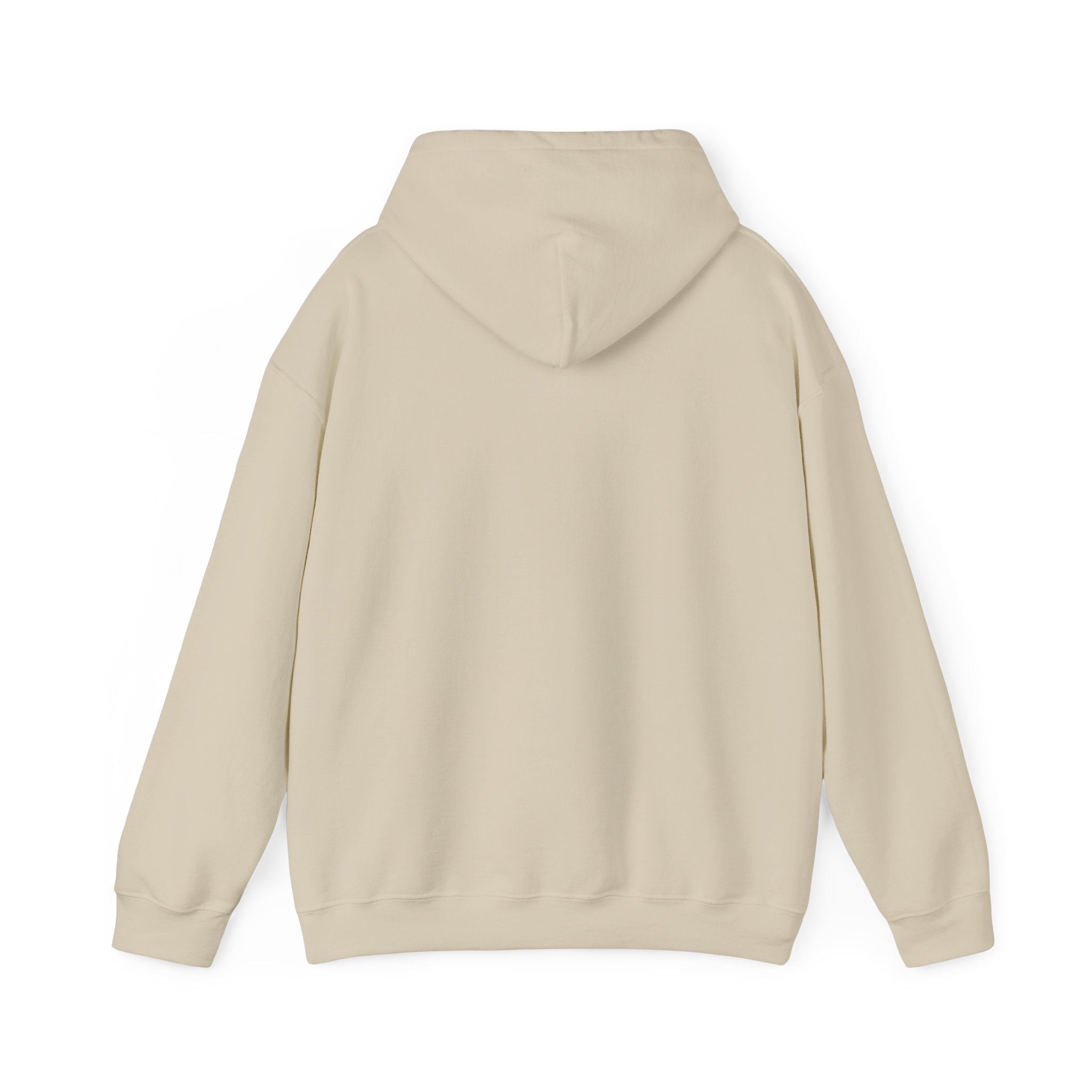Love is in the Air: Retro Love Hoodie Sweatshirt