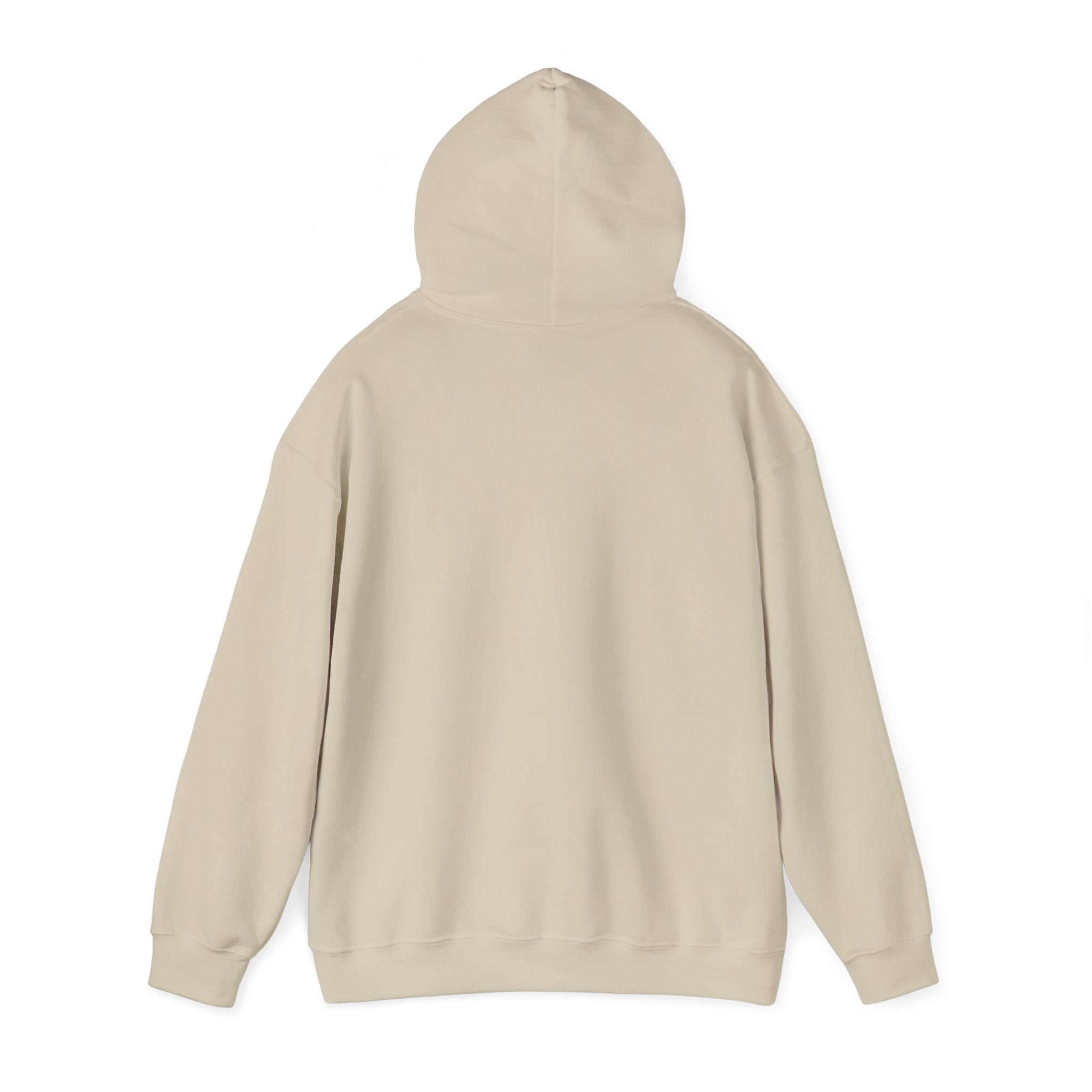 Love is in the Air: Retro Love Hoodie Sweatshirt