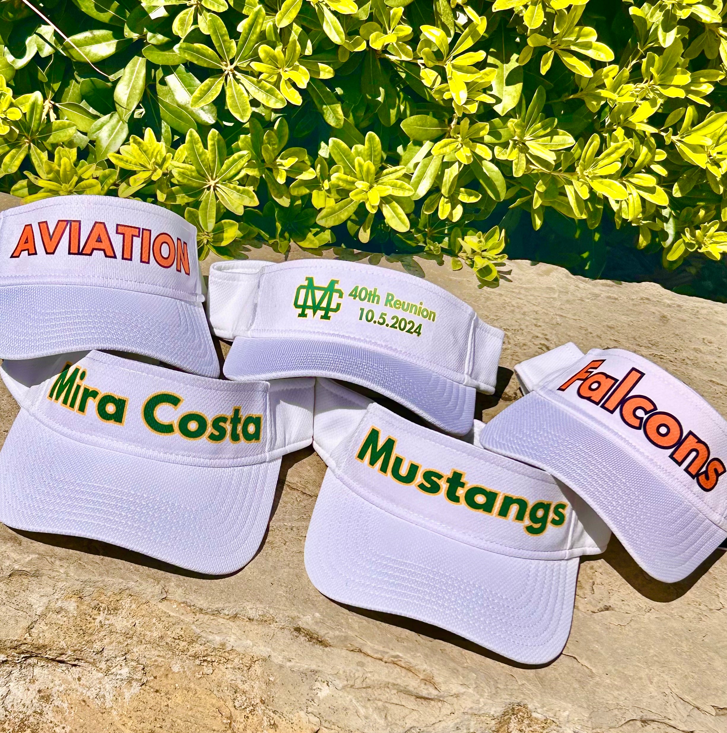 **🏆 Mira Costa / Aviation Sun Visor 🏆**